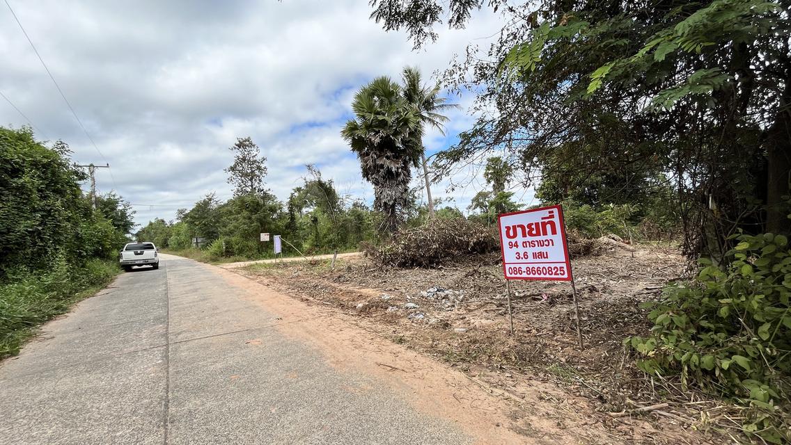 ขายที่ จ.อุบลฯ ราคาถูกมีโฉลด 3