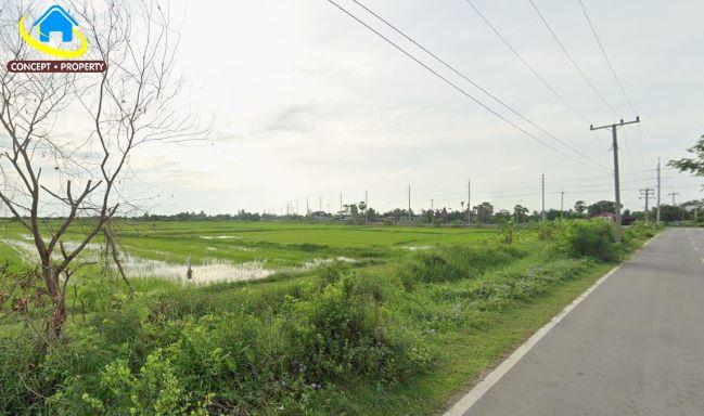 ขายที่ดิน 29 ไร่ ใกล้ทะเล ตำบลหาดเจ้าสำราญ อำเภอเมืองเพชบุรี จังหวัดเพชรบุรี 3