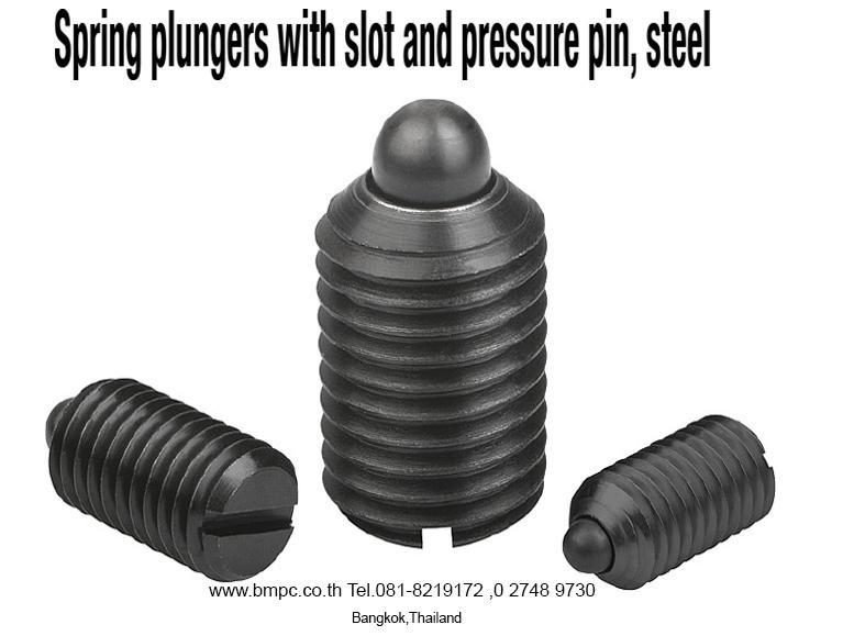Ball plunger, Socket spring plunger, Index plunger, press fit plunger, Amecoil, thread repair tool, Schnorr, Cup spring รูปที่ 5