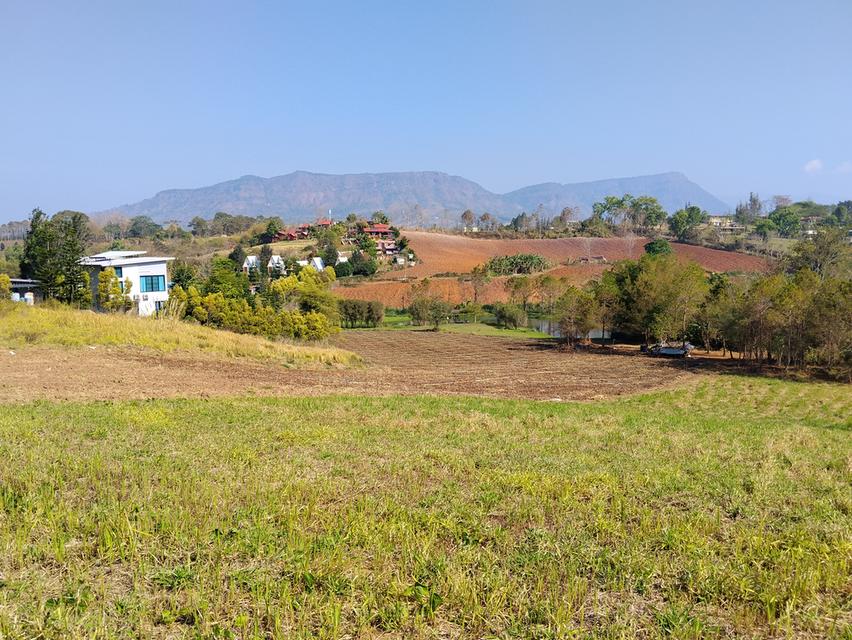 ที่ดินเขาค้อ วิวภูเขา ถนน น้ำ ไฟ พร้อม 6