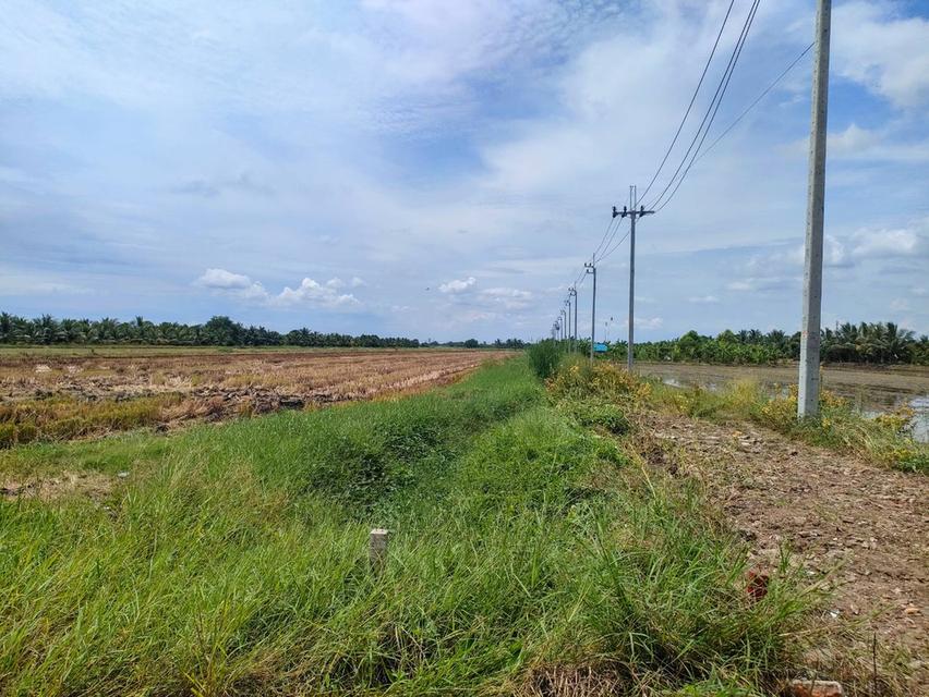 ขายที่ดินเปล่าในถนนร่วมพัฒนา เขตหนองจอก กรุงเทพมหานคร 12