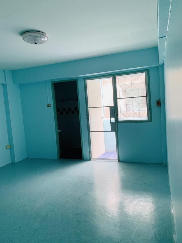 Condo  6