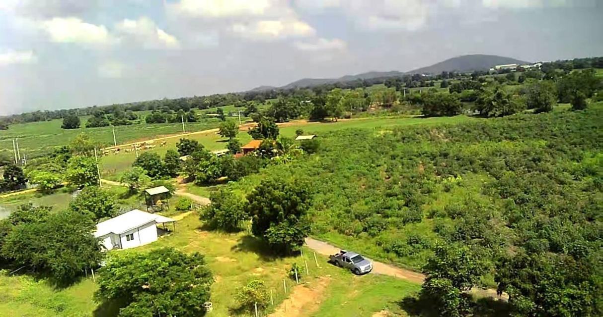 ขายที่ดินเปล่า ทำเลดี ติดถนนปูน ไฟฟ้าถึง จังหวัดสุพรรณบุรี 4