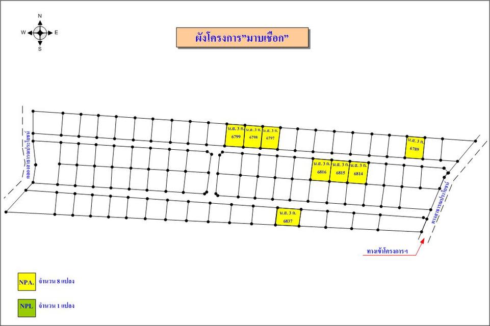 💙 ที่ดิน ธงชัยเหนือ ราคาพิเศษ! 💙 9