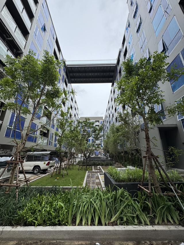 ขายดาวน์คอนโด Beat Sukhumvit 93 5