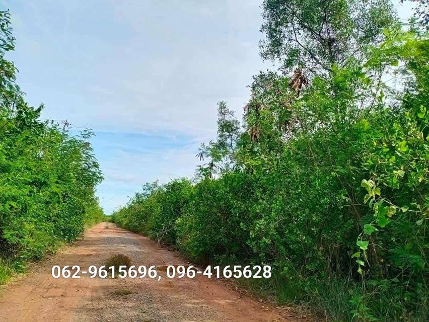 อสังหาริมทรัพย์ ที่ดิน 8