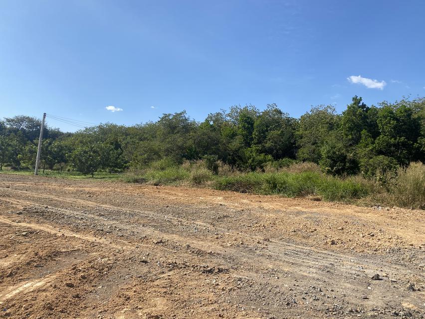 ให้เช่าที่ดินแม่น้ำคู้ระยอง 4 ไร่ 2