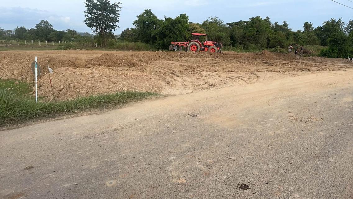 ที่ดินราคาถูก 290,000   เทศบาลตำบลทุ่งหลวง0824657058 6