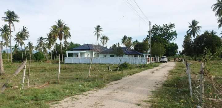 บ้านพร้อมที่ดิน 11