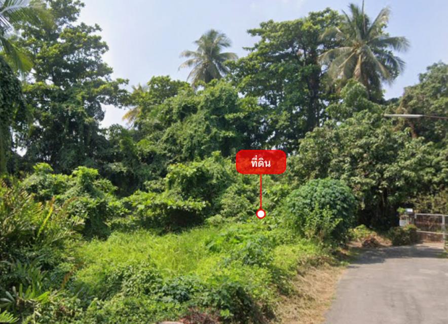 ขายที่ดิน 1-2-65 ไร่ ใกล้ รร.นายร้อยตำรวจสามพราน และวัดสามพราน (พุทโธภาวนา) 3