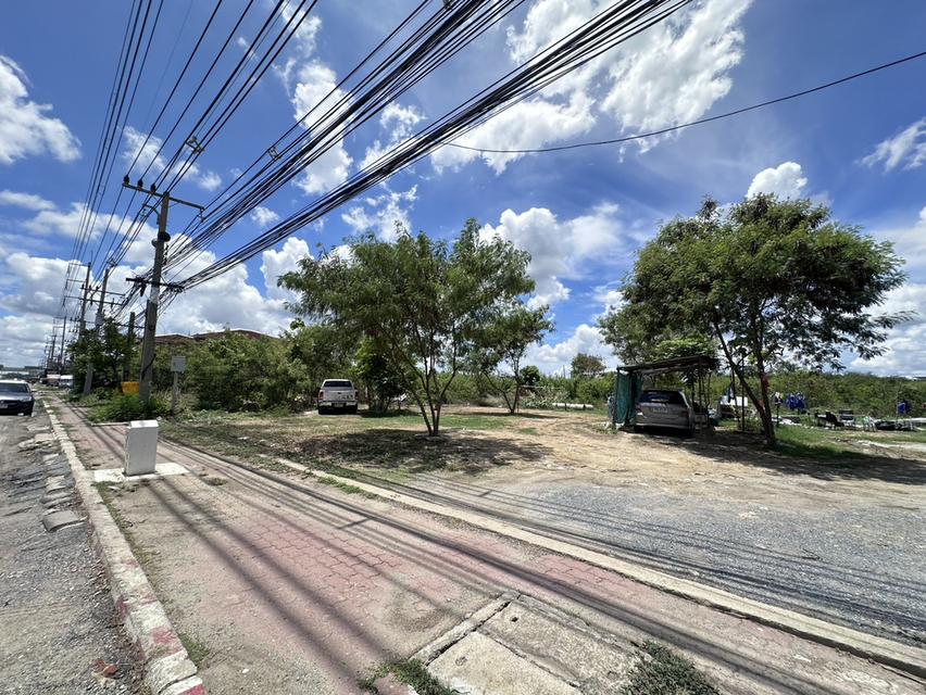 ที่ดินแปลงสวย ทำเลศักยภาพ ตรงข้ามสวนสามพราน ขนาดพื้นที่ : 4 ไร่ 3 งาน 57 ตารางวา 3