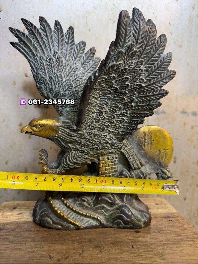🔥พญาอินทรีย์ทองเหลือง  3