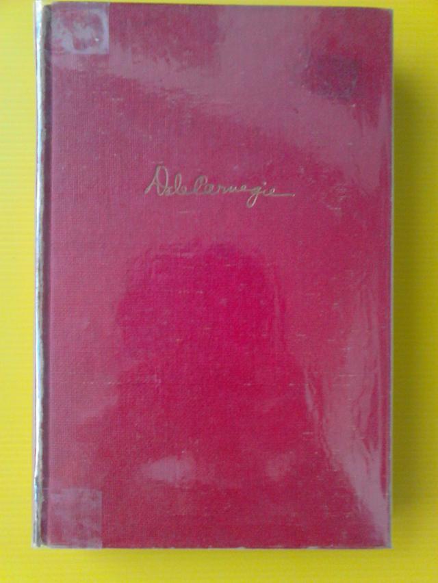 หนังสือภาษาอังกฤษเรื่องวิธีดำเนินชีวิตให้ประสบความสำเร็จ