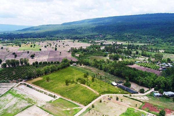 ขายที่ดินวิวเขาวังทอง 2