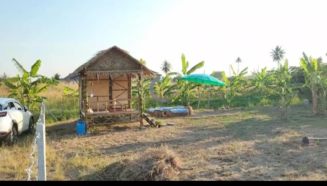 ขายที่ดิน100ตรว.
