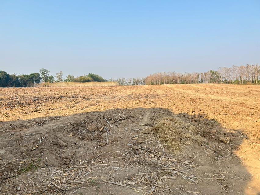 บ้านพร้อมที่ดิน 40 ไร่ จังหวัดพิษณุโลก อำเภอเนินมะปราง 5