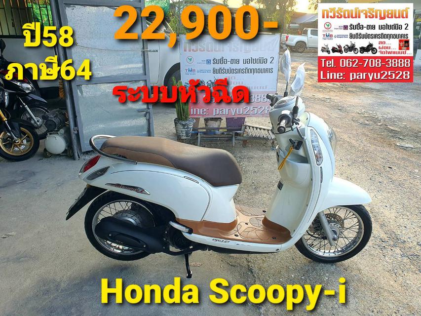 Honda Scoopy  1