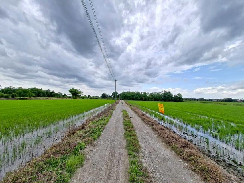 ขายที่ดินเปล่า ซอยคลองสิบ-สิบสี่ 7 หนองจอก 3