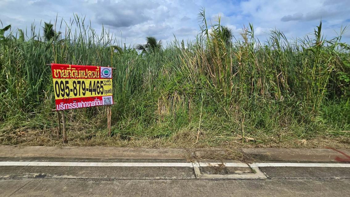 ขายด่วนที่ดิน 96 ตรว ติดถนนคอนกรีตสาธารณะ ซ.นายตึ๋ง บางกรวย นนทบุรี 1