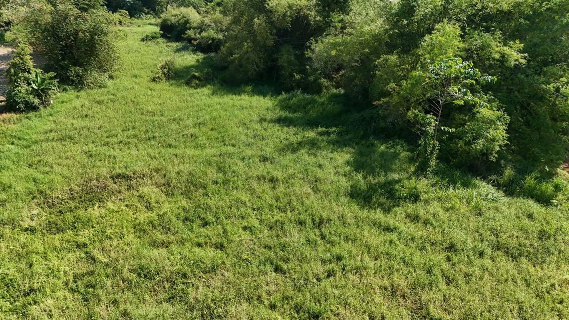 ขายที่ดินเปล่า 4-2-50 ไร่ ทำเลศักยภาพ ติดคลองกระเฉท น้ำไหลตลอดปี ใกล้นิคมอุตสาหกรรม ต.มาบข่า ระยอง 8