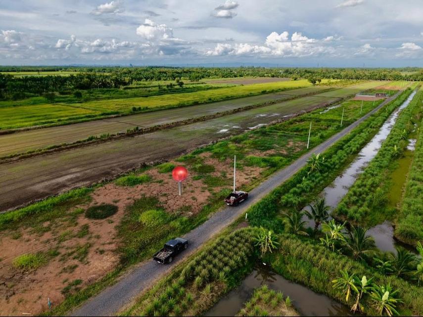 ที่ดินคลอง8 หนองเสือ #ถมแล้ว 3