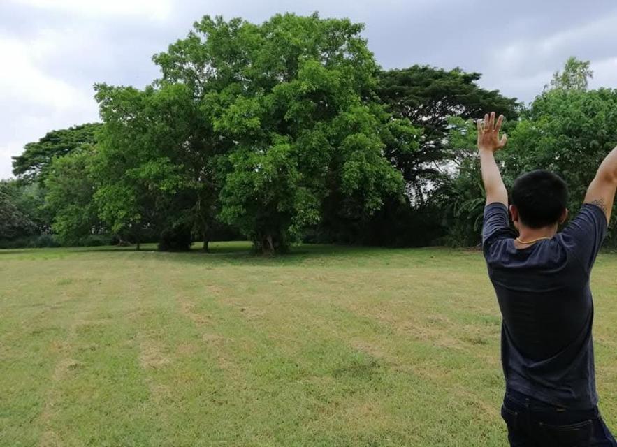 ที่ดินเปล่าวิวเขา ติดลำธาร จ.เพชรบูรณ์ 8