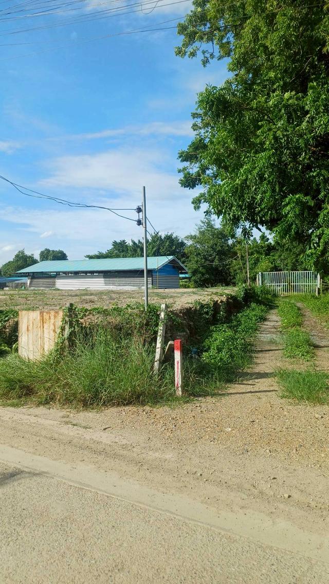 ที่ดินขนาด571.7ตรว. ถมสูงกว่าระดับถนน1เมตรทไเลโซนเมืองปุทฯใกล้แยกบางคูวัด 3