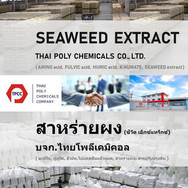 สาหร่ายผง, ผงสาหร่าย, Seaweed extract powder , สาหร่ายสกัด, 