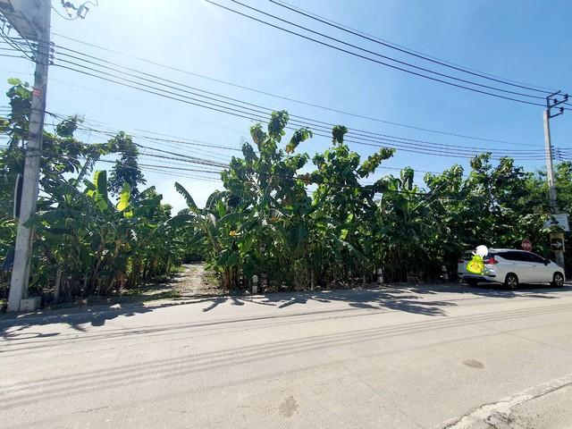 2236 ขาย ที่ดิน ที่ดิน ตำบลท่าอิฐ อำเภอปากเกร็ด จังหวัดนนทบุรี นนทบุรี ปากเกร็ด 6 ไร่ 2400 ตร.วา ใกล้กับ หมู่บ้านประดับด 2