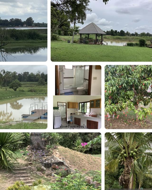 ขายบ้านโดยเจ้าของขายเอง บนที่ดิน 6 ไร่ที่เงียบสงบ วิวสวย พร้อมบ้าน 2 หลัง อยู่ใกล้อ่างเก็บน้ำลำแลาค่าว มีศาลาพักผ่อนและน้ำตก พร้อมสวนผลไม้หลากหลายชนิด 1
