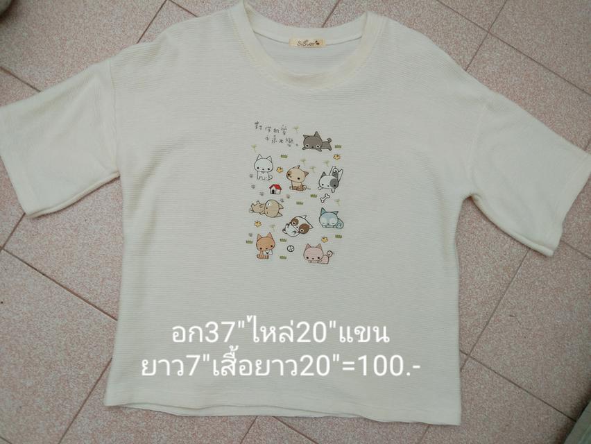 เสื้อยืด 1