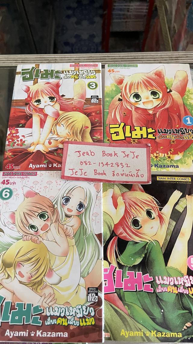 หนังสือการ์ตูน ฮิเมะ แมวเหมียวเดี่ยวคนเดี่ยวแมว 1-7 จบ 2