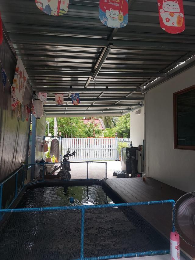 ประกาศขายบ้านสวนมินิมอล 12