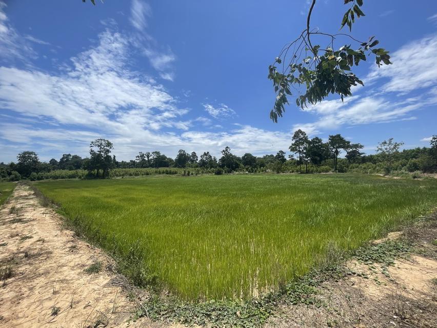 ที่ดิน จ.ปราจีนบุรี อ.กบินทร์บุรี ต.นาเเขม (บ้านท่าอุดม) 9