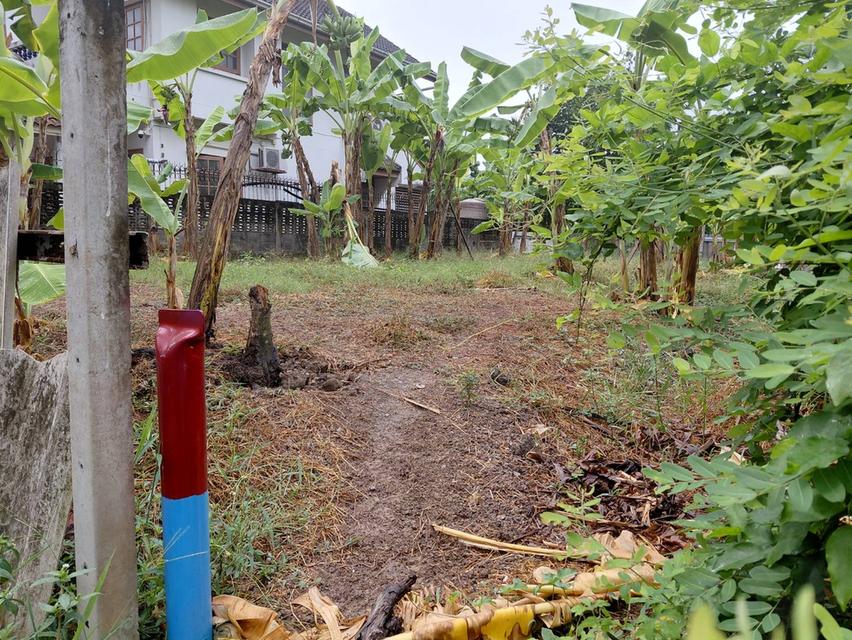 ที่ดิน 51 ตร.ว. บรมราชชนนี 74 เขตทวีวัฒนา กรุงเทพฯ 10