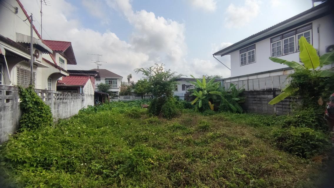 ขายที่ดิน 191 ตารางวา ซอยประชาอุทิศ 17 แยก 1 ใกล้ทางด่วน ใกล้รถไฟฟ้าสายสีม่วงใต้ 3