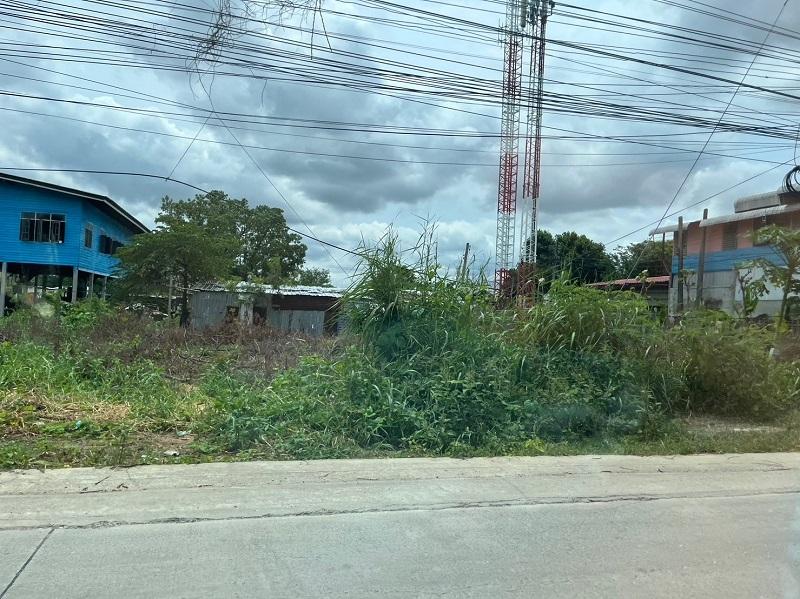 ขายที่ดิน 117 ตรว ซอยบางพลับ 12 ถ.ราชพฤกษ์ นนทบุรี  1