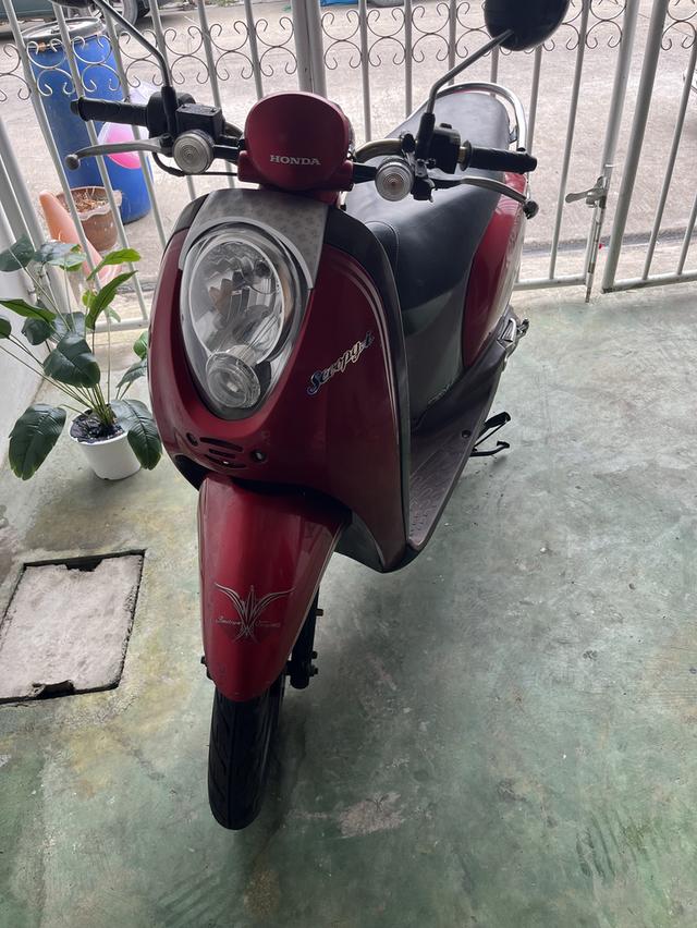 มอเตอร์ไซค์ Honda scoopy i มือสองปี2010 รูปที่ 1