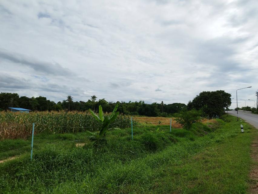 ขายด่วน ที่ดินสวยติดแม่น้ำท่าจีนราคาถูก 1