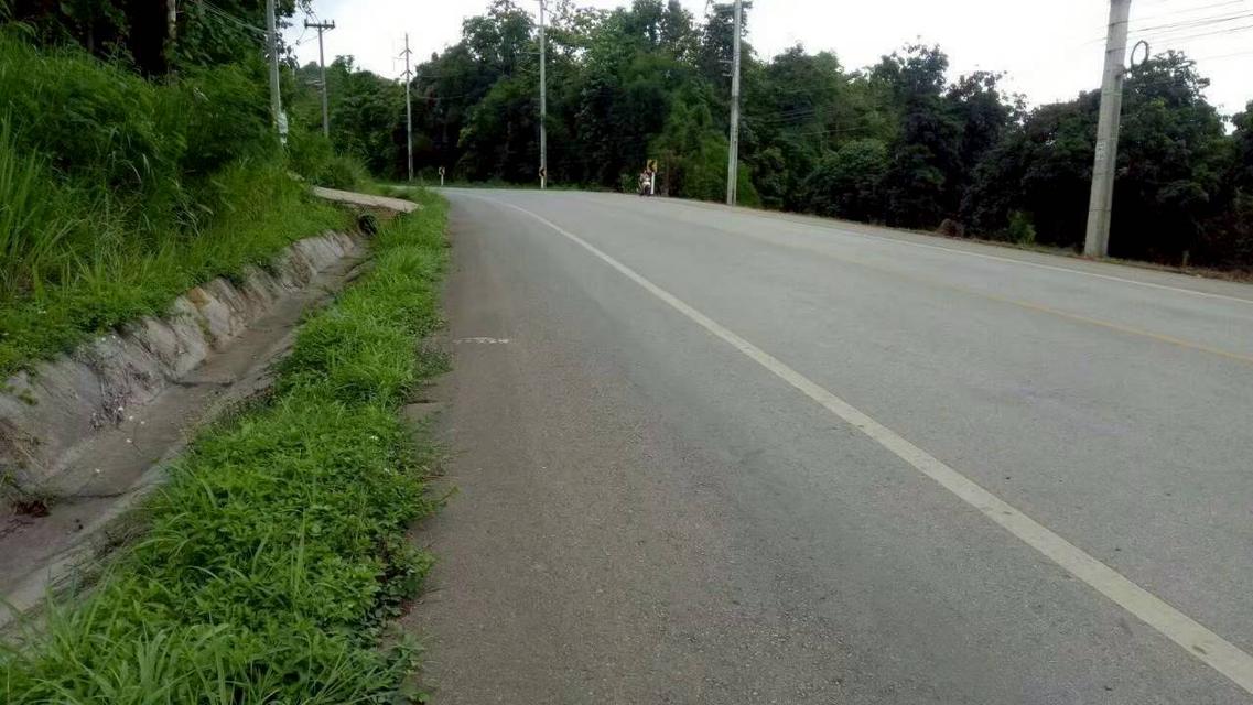 ขายที่ดินด่วนติดถนนใหญ่สายหลัก 1095 เชียงใหม่ เน 3