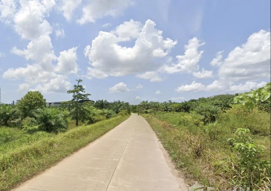 ที่ดินสำหรับสร้างบ้าน หรือธุรกิจทาวส์โฮมน์ 3