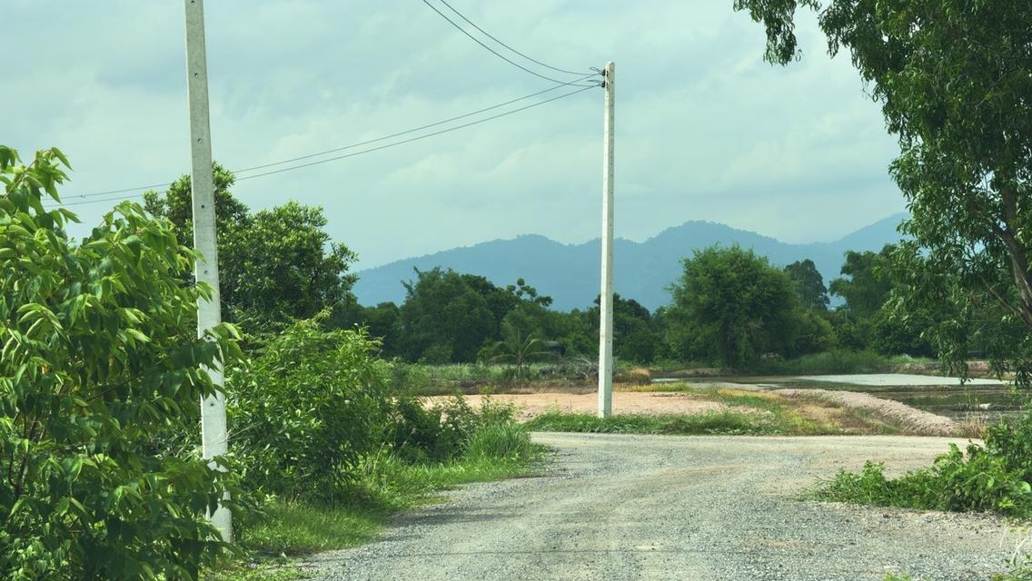 ที่ดินบ้านสวนวิวทุ่งนา ใกล้ถนนรังสิต–นครนายก เพียง 1 กม. เหลือ 2 แปลงสุดท้าย 15