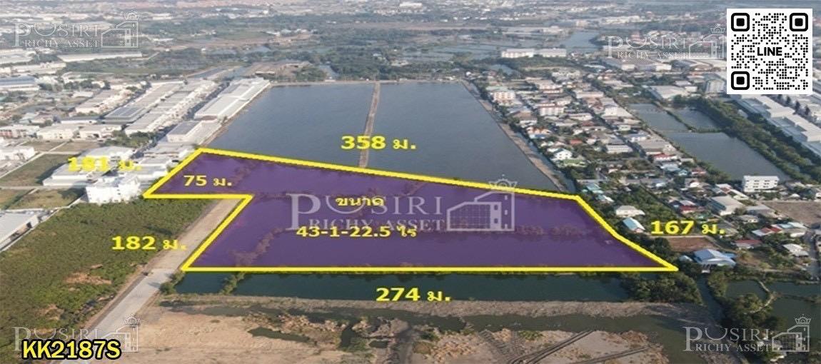 ที่ดินแปลงสวยแบ่งได้ ขนาด 3.5 - 43 ไร่เศษ พร้อมถมเพียง 9.5 ล้าน/ไร่ สร้างโรงงานโดดเด่น สีม่วงแท้ 100% มีเอกสารรับรอง ถนนประชาอุทิศ วัดคู่สร้าง KK2187S 4