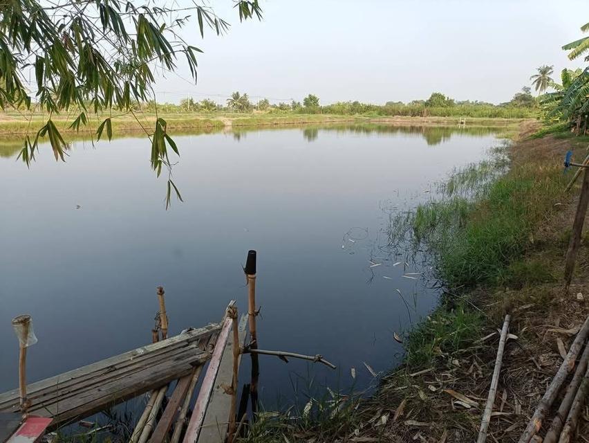 ให้เช่าที่ดินเปล่า 5 ไร่ ระยะยาว