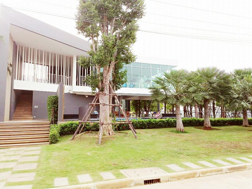 ให้เช่าบ้านโครงการ Citysense Salaya 🏡 2 ชั้น 3 ห้องนอน 2 ห้องน้ำ ใกล้ม.มหิดล – เข้าอยู่ได้ทันที 15