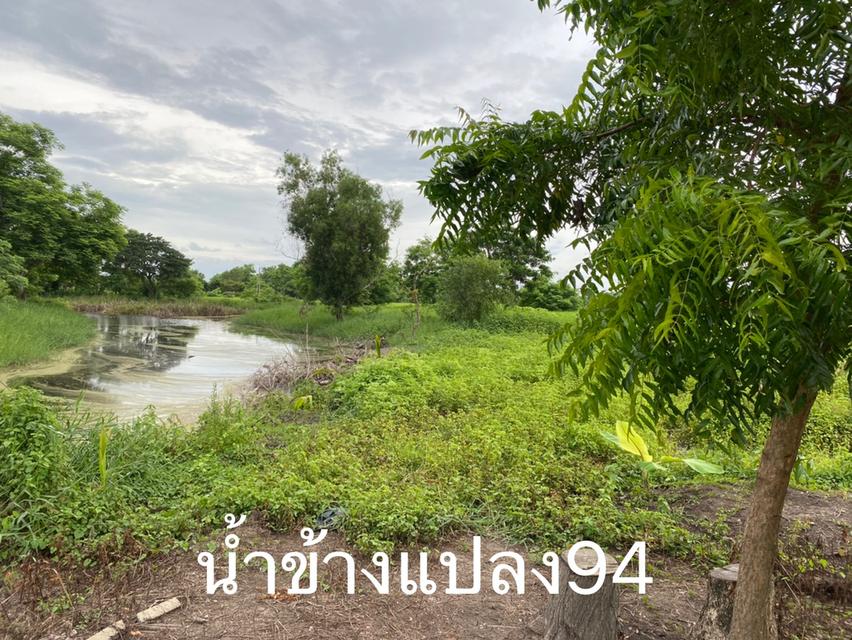         ขายด่วน ที่ดินแปลงจัดสรรล้อคที่ 76 เนื้อที่ 1-0-39ไร่ ในซอยสุวินทวงศ์ 47  3