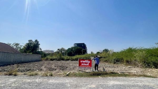 ที่ดิน 2