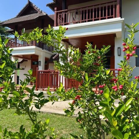 ขายบ้านเดี่ยว 2 ชั้น บ้านกอสะเลียม พร้อมเข้าอยู่ บรรยากาศร่มรื่น ทำเลดี สันกำแพง เชียงใหม่ 11