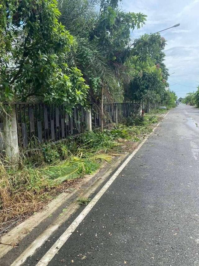 ขายที่ดินธัญบุรี คลอง 8 ใกล้เมือง ทำเลศักยภาพสูง อ.ธัญบุรี จ.ปทุมธานี