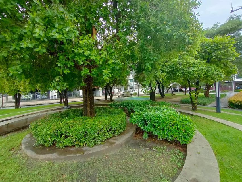 บ้านทาวน์โฮม3ชั้น ทำเลทองย่านดอนเมือง 13